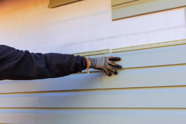 Best Insulated Siding Installation  in USA